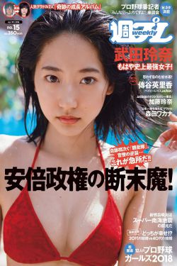 火影忍者免费观看720集